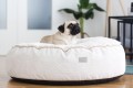 ECRU OREO FUTRO ECRU 80 CM